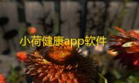小荷健康app软件